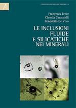 Le inclusioni fluide e silicatiche nei minerali