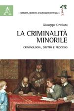 La criminalità minorile. Criminologia, diritto e processo
