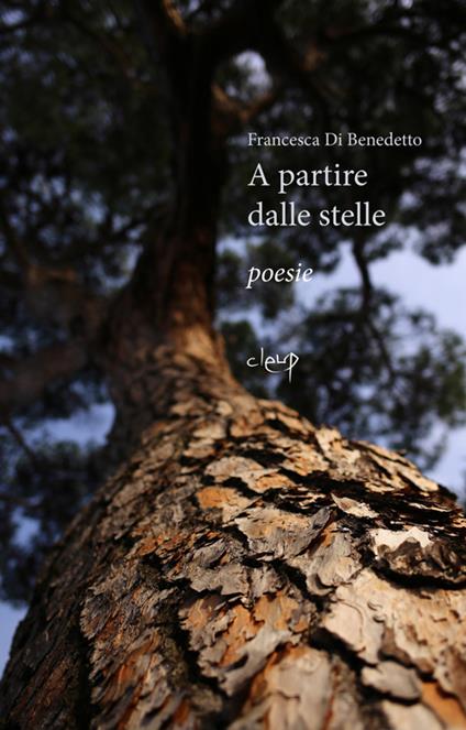 A partire dalle stelle - Francesca Di Benedetto - copertina