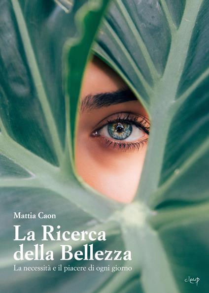 La ricerca della bellezza. La necessità e il piacere di ogni giorno - Mattia Caon - copertina
