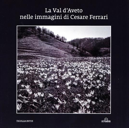 La Val d'Aveto nelle immagini di Cesare Ferrari. Ediz. illustrata - copertina