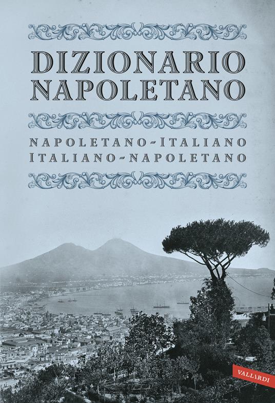 Dizionario napoletano - copertina