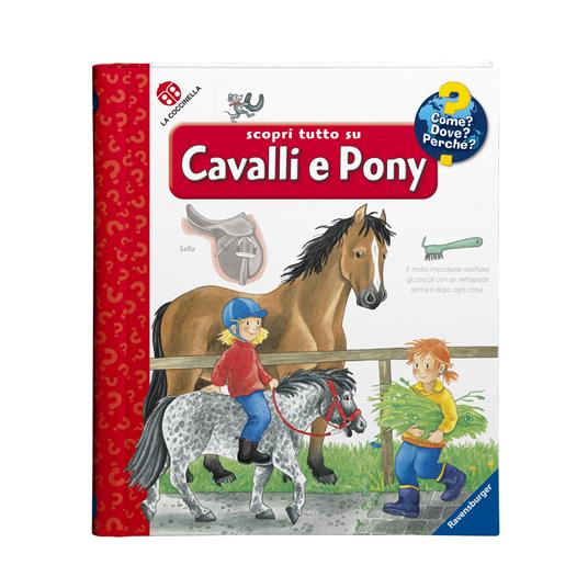 Scopri tutto su cavalli e pony! Ediz. a colori - Andrea Erne - 5