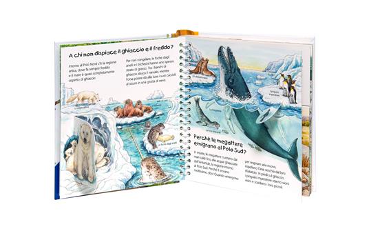 Animali del mondo. Ediz. a colori - Susanne Gernhäuser,Marion Kreimeyer-Visse - 3