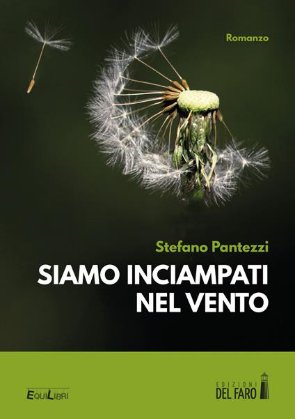 Siamo inciampati nel vento - Stefano Pantezzi - copertina