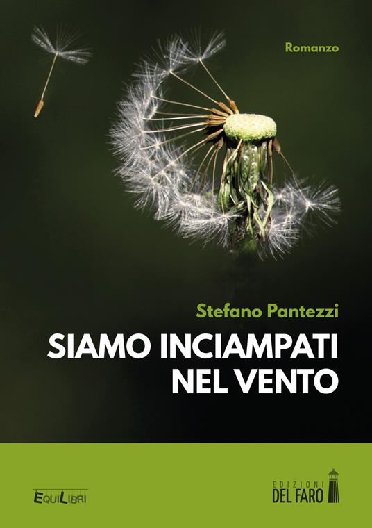Siamo inciampati nel vento - Stefano Pantezzi - copertina