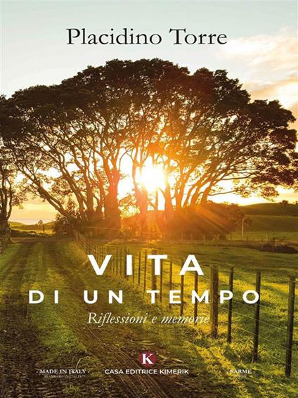 Vita di un tempo. Riflessioni e memorie - Placidino Torre - ebook