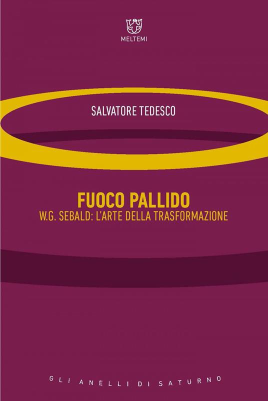 Fuoco pallido. W.G. Sebald: l'arte della trasformazione - Salvatore Tedesco - ebook