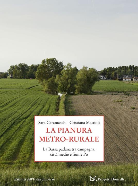 La pianura metro-rurale. La Bassa padana tra campagna, città medie e fiume Po - Sara Caramaschi,Cristiana Mattioli - ebook