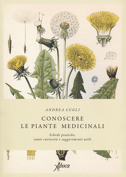 Conoscere le piante medicinali. Schede pratiche, tante curiosità e suggerimenti utili - Andrea Lugli - copertina