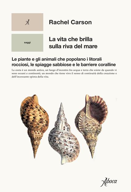 La vita che brilla sulla riva del mare. Le piante e gli animali che popolano i litorali rocciosi, le spiagge sabbiose e le barriere coralline - Rachel Carson - copertina