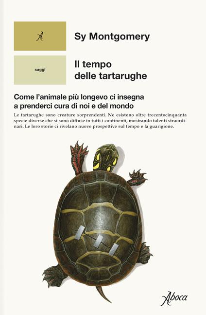 Il tempo delle tartarughe. Come l’animale più longevo ci insegna a prenderci cura di noi e del mondo - Sy Montgomery - copertina