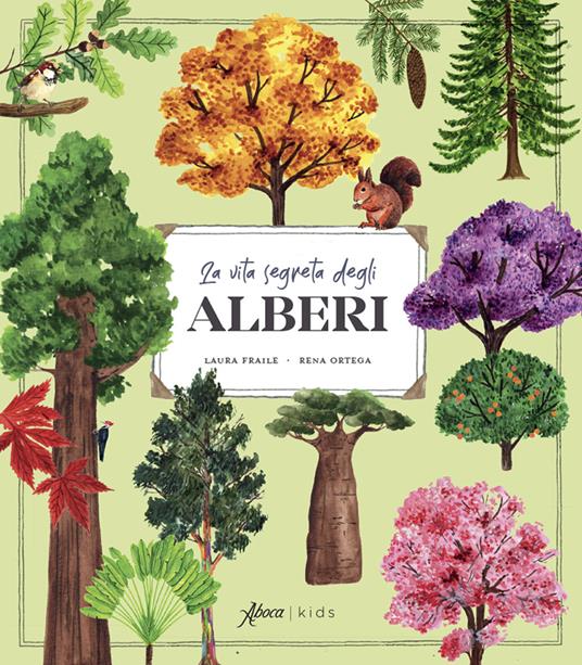 La vita segreta degli alberi. Ediz. illustrata - Laura Fraile - copertina