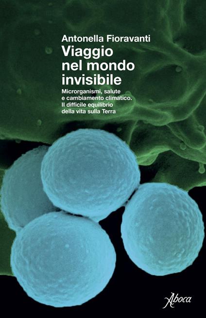 Viaggio nel mondo invisibile. Microrganismi, salute e cambiamento climatico. Il difficile equilibrio della vita sulla Terra - Antonella Fioravanti - ebook