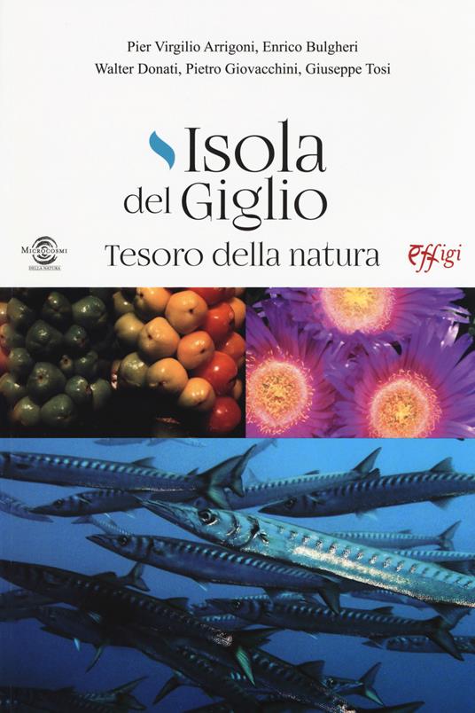 Isola del Giglio. Tesoro della natura - Pier Virgilio Arrigoni,Enrico Bulgheri,Valter Donati - copertina