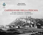 Castiglione della Pescaia. La storia, l’urbanistica e l’architettura di un antico insediamento e del suo territorio