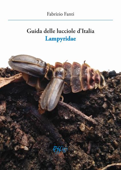 Guida delle lucciole d'Italia lampyridae - Fabrizio Fanti - copertina
