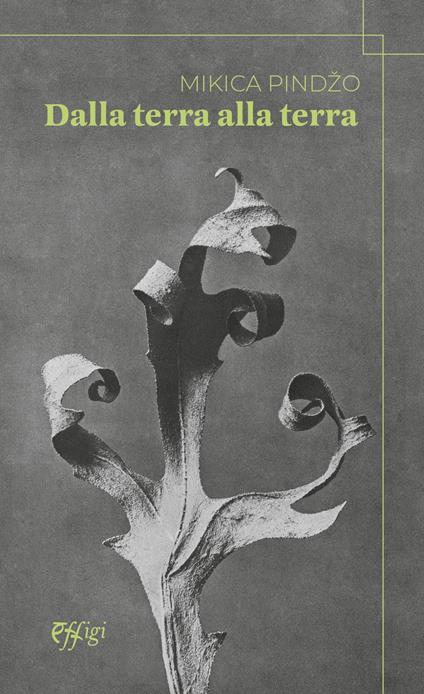 Dalla terra alla terra - Mikica Pindzo - copertina