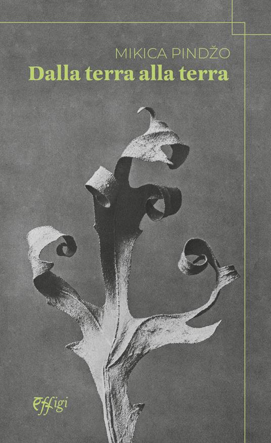 Dalla terra alla terra - Mikica Pindzo - copertina