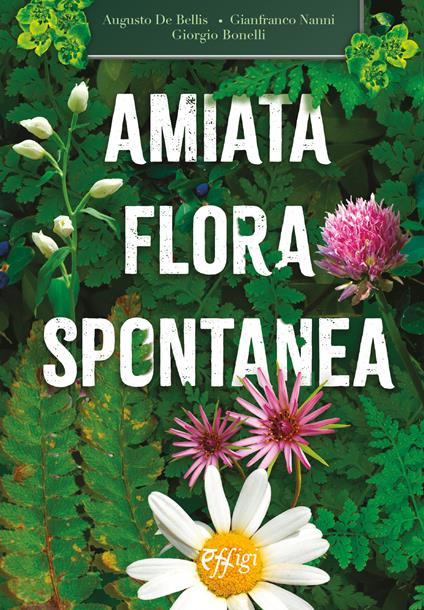 Amiata flora spontanea - Augusto De Bellis,Gianfranco Nanni,Giorgio Bonelli - copertina