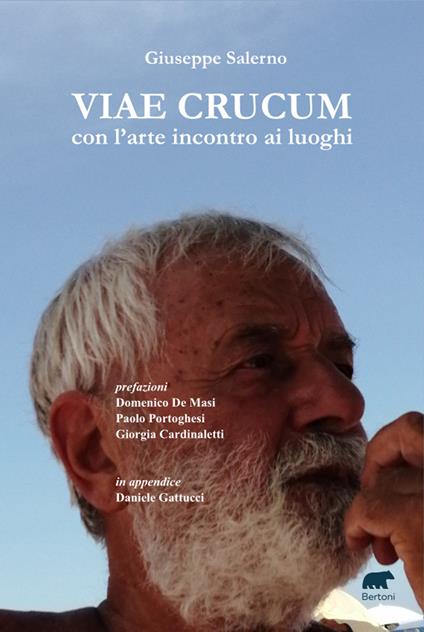 Viae Crucum. Con l’arte incontro ai luoghi - Giuseppe Salerno - copertina