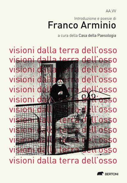 Visioni dalla terra dell'osso - Franco Arminio - copertina