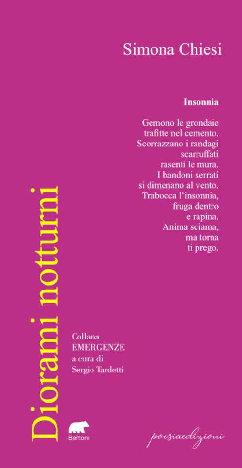 Diorami notturni - Simona Chiesi - copertina