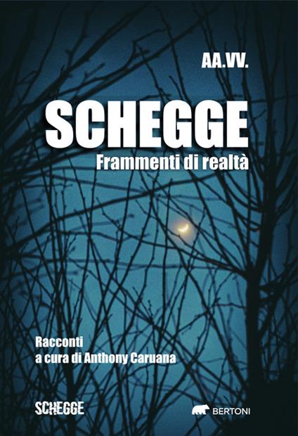 Schegge. Frammenti di realtà - copertina