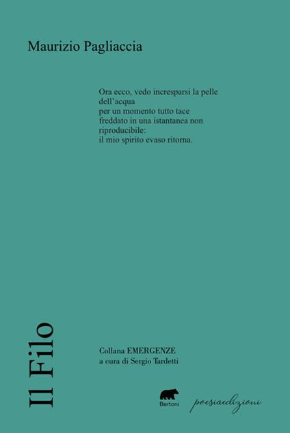 Il filo - Maurizio Pagliaccia - copertina