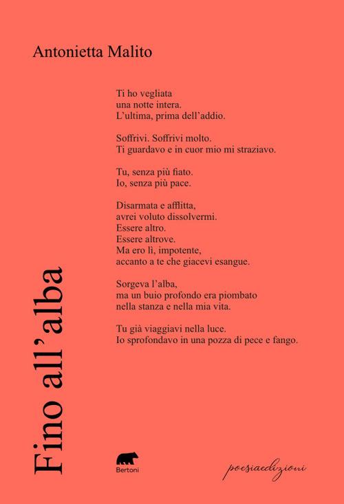 Fino all'alba - Antonietta Malito - copertina
