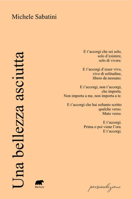 Una bellezza asciutta - Michele Sabatini - copertina
