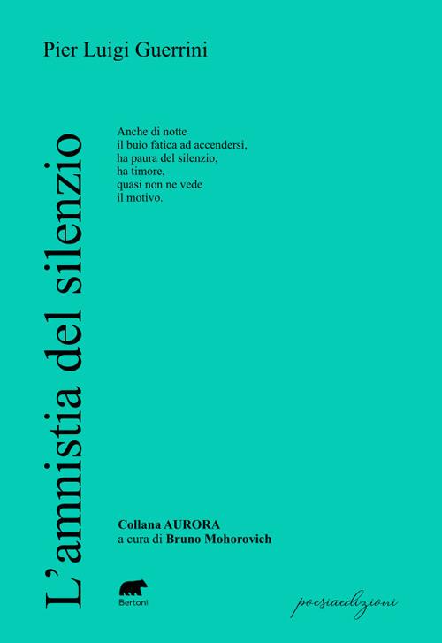 L'amnistia del silenzio - Pier Luigi Guerrini - copertina