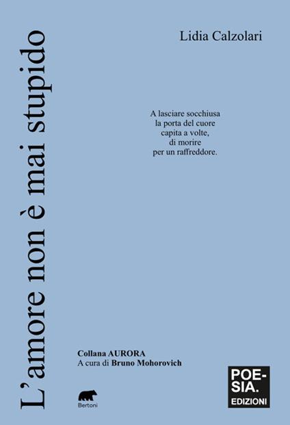 L'amore non è mai stupido - Lidia Calzolari - copertina