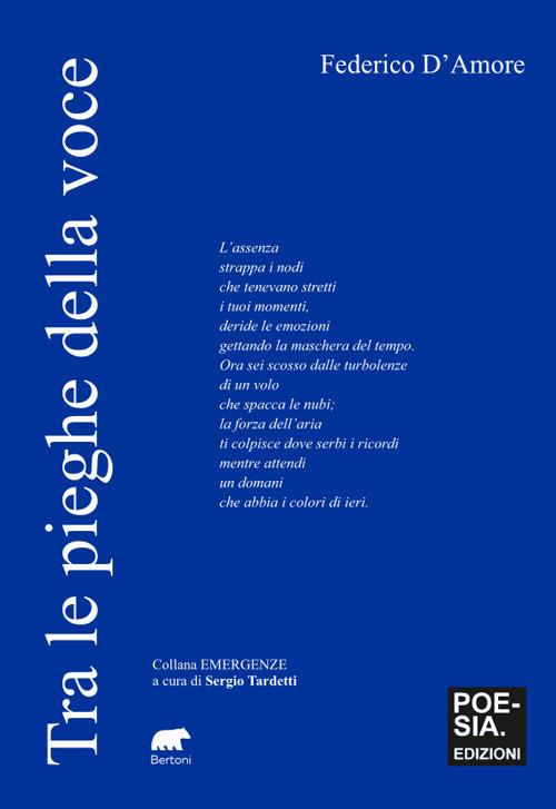 Tra le pieghe della voce - Federico D'Amore - copertina