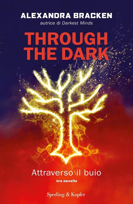 Through the dark. Attraverso il buio - Alexandra Bracken - copertina