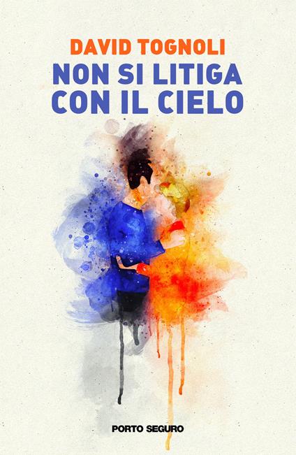 Non si litiga con il cielo - David Tognoli - copertina