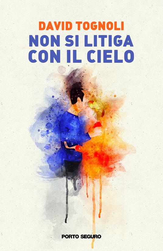 Non si litiga con il cielo - David Tognoli - copertina