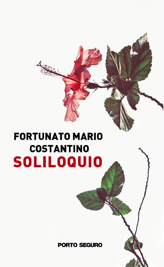 Soliloquio - Fortunato Mario Costantino - copertina