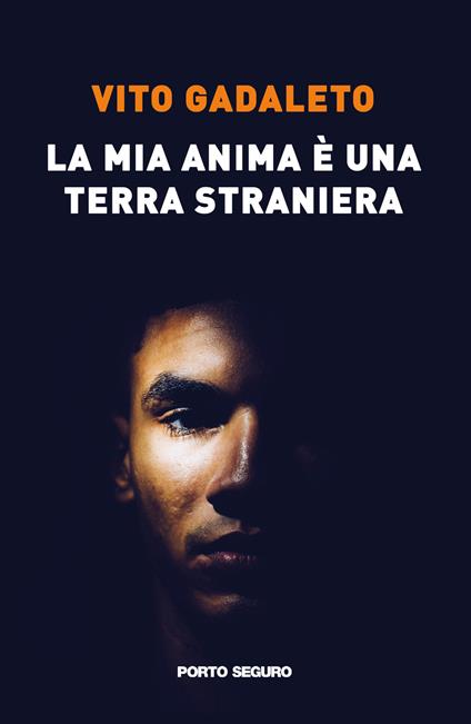 La mia anima è una terra straniera - Vito Gadaleto - copertina