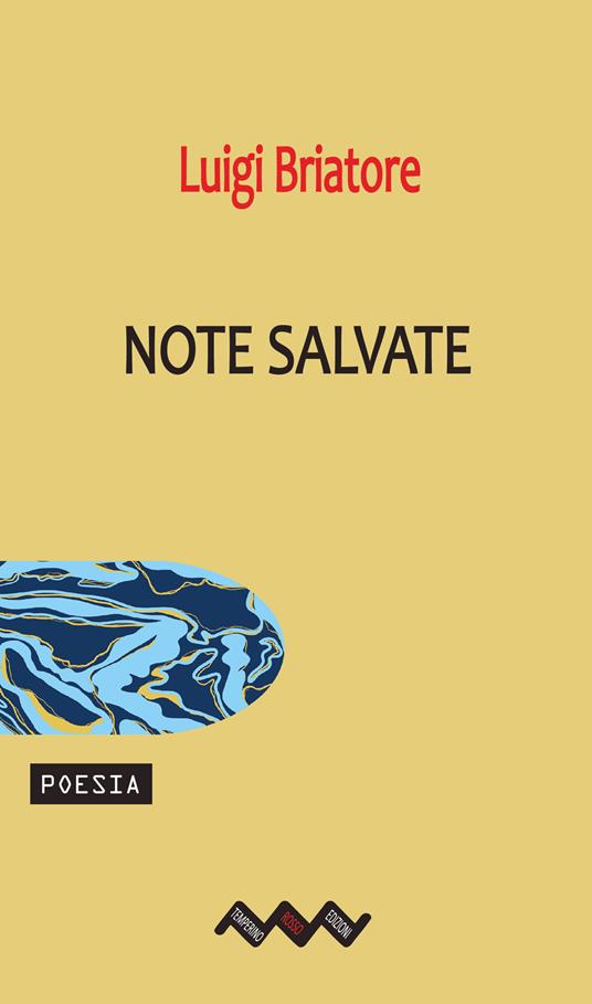 Note salvate - Luigi Briatore - ebook