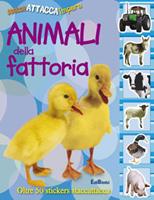 Nome prodotto