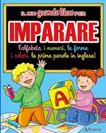 Il mio grande libro per imparare. L'alfabeto, i numeri, le forme, i colori, le prime parole in inglese!