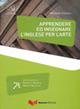 Apprendere ed insegnare l'inglese per l'arte - Michele Daloiso - copertina