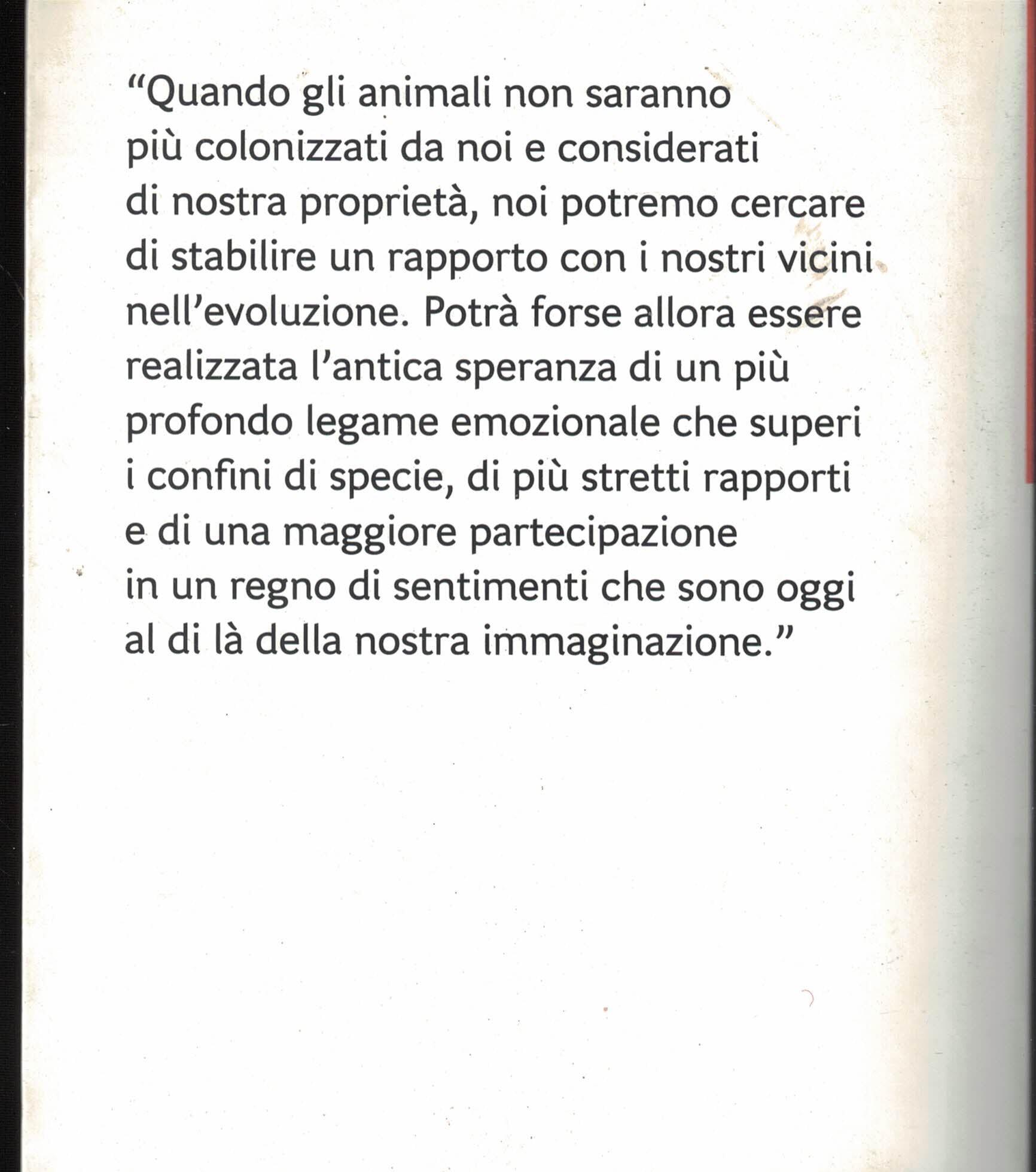 Multibook