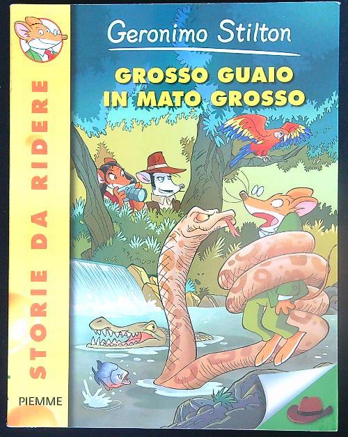 Grosso guaio in Mato Grosso