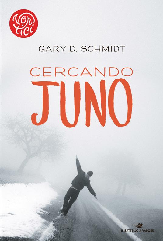 Cercando Juno - Gary D. Schmidt - copertina