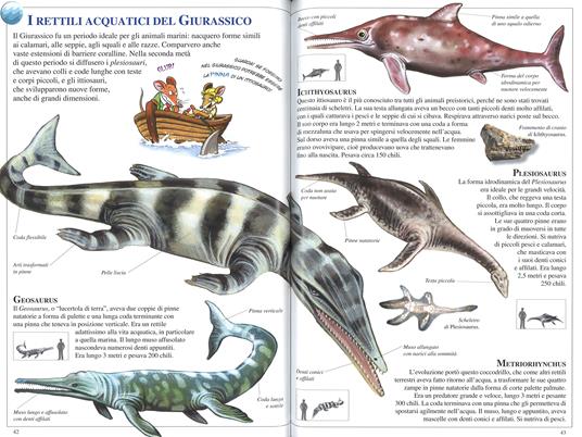 Dinosauri. Ediz. a colori - Geronimo Stilton - 5