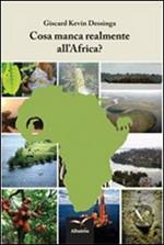 Cosa manca realmente all'Africa?