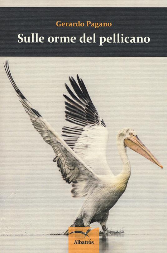 Sulle orme del pellicano - Gerardo Pagano - copertina