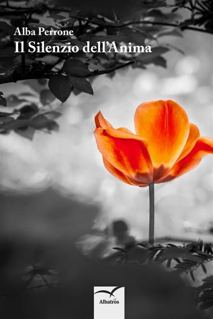 Il silenzio dell'anima - Alba Perrone - ebook